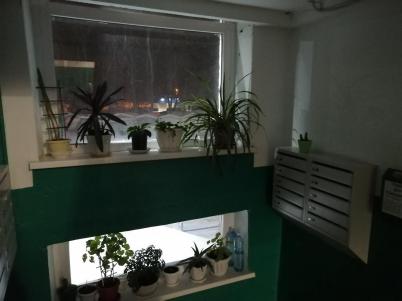 Продажа квартиры Омск. улица Малиновского 8А Продажа квартиры Омск. улица Малиновского 8А