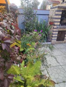 Продажа дома Омский.&nbsp;Дружино.&nbsp;Рябиновая ул., 14