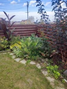 Продажа дома Омский.&nbsp;Дружино.&nbsp;Рябиновая ул., 14