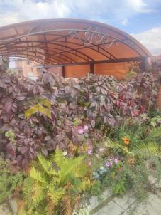 Продажа дома Омский.&nbsp;Дружино.&nbsp;Рябиновая ул., 14