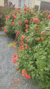 Продажа дома Омский.&nbsp;Дружино.&nbsp;Рябиновая ул., 14