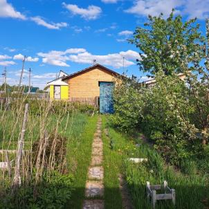 Продажа дачи Омск. снт Шинник-1