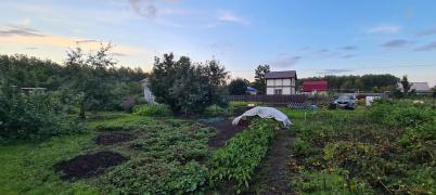 Продажа дачи Омск. ТСН СНТ Сибзаводовец-3