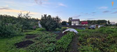 Продажа дачи Омск. ТСН СНТ Сибзаводовец-3