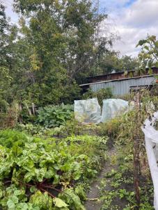 Продажа дома Азовский немецкий национальный. Березовка с.. Березовка с.