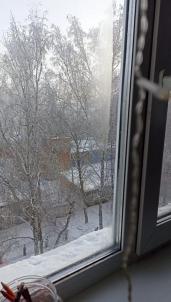 Продажа квартиры Омск. улица Бородина 42 Продажа квартиры Омск. улица Бородина 42