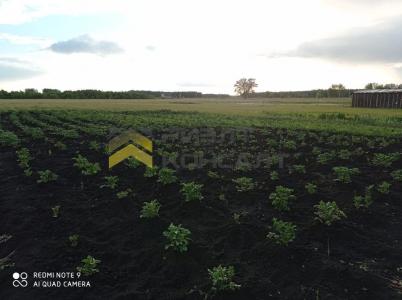 Продажа дома улица Южная, 7 Продажа дома улица Южная, 7