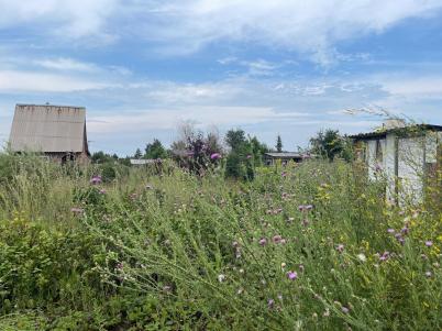 Продажа дачи Омский. Красная Горка с.. Красная Горка с.