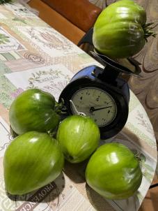 Продажа дома Омск. 1-я Енисейская
