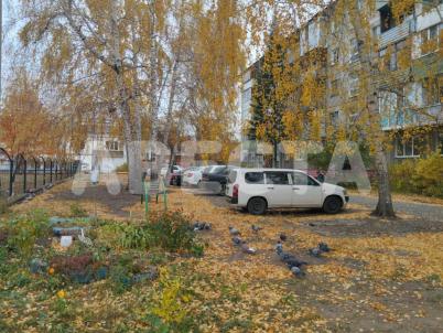 Продажа квартиры Омск. ул. 3-я Кордная, 24б Продажа квартиры Омск. ул. 3-я Кордная, 24б