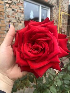 Продажа дома Омск. 1-я Железнодорожная улица 