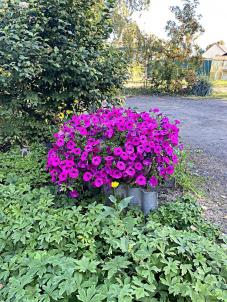 Продажа дома Омск. 1-я Железнодорожная улица 