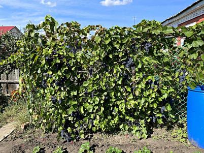 Продажа дома Омск. 1-я Железнодорожная улица 