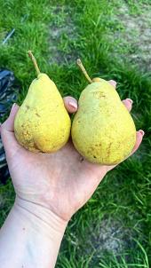 Продажа дома Омск. 1-я Железнодорожная улица 