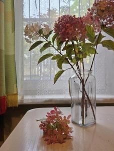 Продажа дачи ТСН СНТ Берёзка