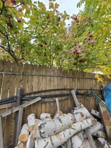 Продажа дачи ТСН СНТ Берёзка