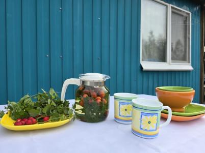 Продажа дачи ТСН СНТ Берёзка