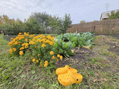 Продажа дачи ТСН СНТ Берёзка