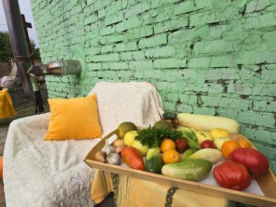 Продажа дачи ТСН СНТ Берёзка