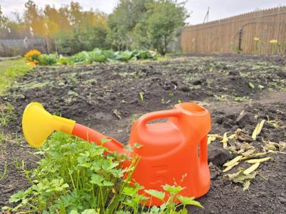 Продажа дачи ТСН СНТ Берёзка