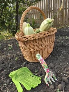 Продажа дачи ТСН СНТ Берёзка