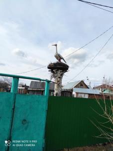 Продажа дома Омск. Прибрежная п. Мелиораторов Продажа дома Омск. Прибрежная п. Мелиораторов