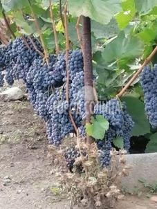 Продажа дачи Омск. Чкаловский, Окружная дорога
