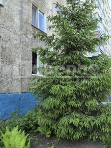 Продажа квартиры Омск. проспект Королева, 16