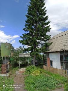 Продажа дачи Омск.&nbsp;Шинник-2