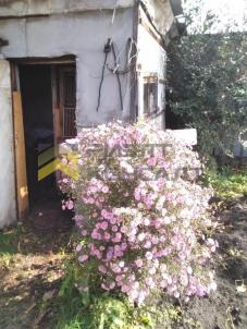 Продажа дачи Омск. г Омск , Центральный АО СНТ 