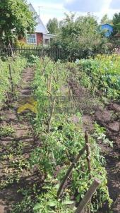 Продажа дачи Омск. г Омск , Центральный АО СНТ 