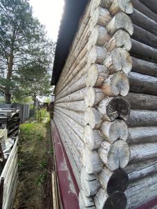 Продажа дачи СНТ Тепличный 1