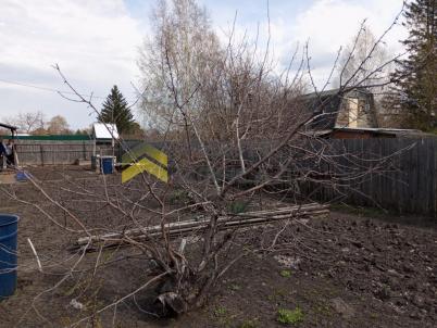 Продажа дачи Омск. Омск, СН Дары Сибири, аллея 20