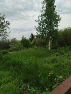 Продажа дачи Омск. Садоводческое некоммерческое товарищество Звёздочка, 842
