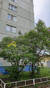 Продажа квартиры Омск. улица Конева, 28 Продажа квартиры Омск. улица Конева, 28