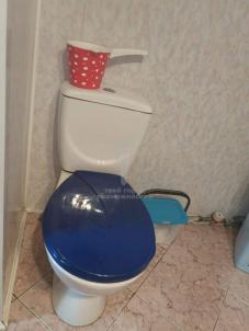 Продажа дома Олимпийская, 20