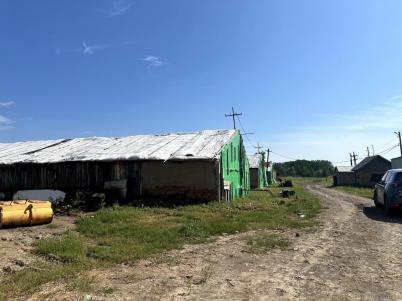 Продажа коммерческой недвижимости Таврический.&nbsp;Таврическое.&nbsp;Кирпичная ул., 1А