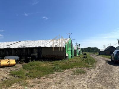 Продажа коммерческой недвижимости Таврический. Таврическое. Кирпичная ул., 1А Продажа коммерческой недвижимости Таврический. Таврическое. Кирпичная ул., 1А