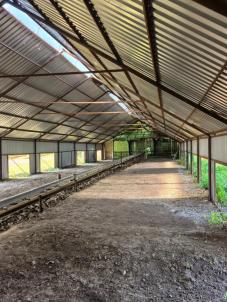 Продажа коммерческой недвижимости Таврический.&nbsp;Таврическое.&nbsp;Кирпичная ул., 1А