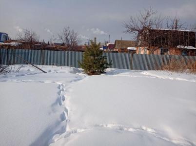 Продажа дома Омск.&nbsp;СНТ Нефтяник, 831