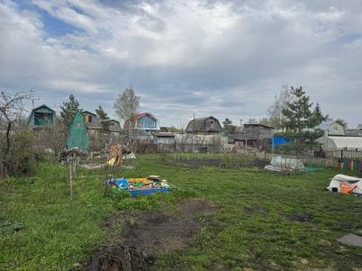 Продажа дачи Омск. Омская область, Омск, Березовая Роща СНТ