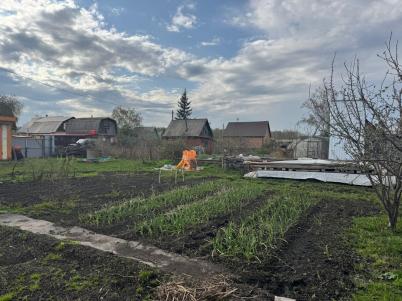 Продажа дачи Омск. Омская область, Омск, Березовая Роща СНТ