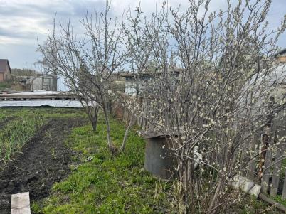 Продажа дачи Омск. Омская область, Омск, Березовая Роща СНТ