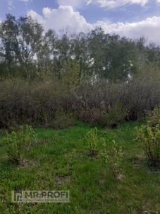 Продажа дома Любинский район.&nbsp;деревня Барсуковка.&nbsp;деревня Барсуковка Барсуковская улица 1