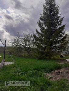 Продажа дома Любинский район.&nbsp;деревня Барсуковка.&nbsp;деревня Барсуковка Барсуковская улица 1