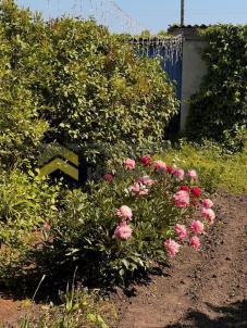 Продажа дома улица Северная, 23