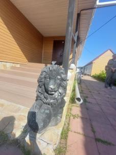 Продажа дома Омский. Пушкино. ул Степная