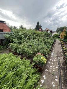 Продажа дачи снт Ландыш