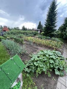 Продажа дачи снт Ландыш