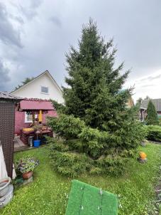 Продажа дачи снт Ландыш
